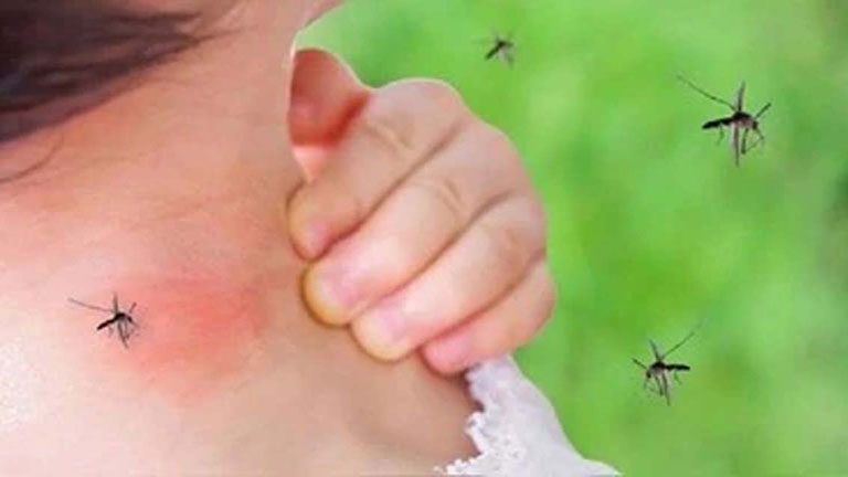 मच्छरों का आतंक खत्म! कपूर-प्याज से घर सेफ, बच्चे खुश!