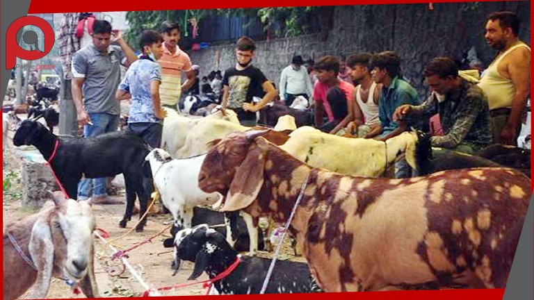 बकरीद पर झारखंड में हाई अलर्ट : बॉर्डर पर रुकेगी अवैध पशु तस्करी, शांति समिति की बैठकें शुरू