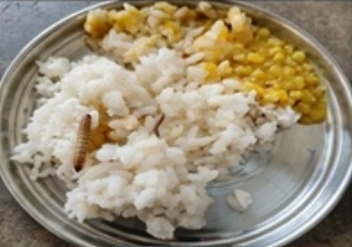 चाईबासा स्कूल के मिड डे मील में निकला कीड़ा, बच्चों ने छोड़ा खाना