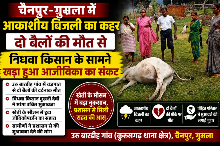 वज्रपात से दो बैलों की मौत, चैनपुर की दुखनी देवी के सामने आजीविका का संकट