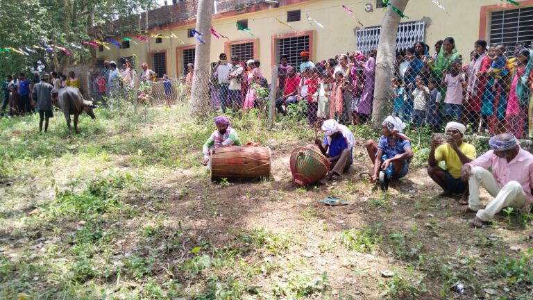 विधायक की पहल रंग लाई, कुर्से गांव में नया ट्रांसफॉर्मर लगते ही लौटी बिजली