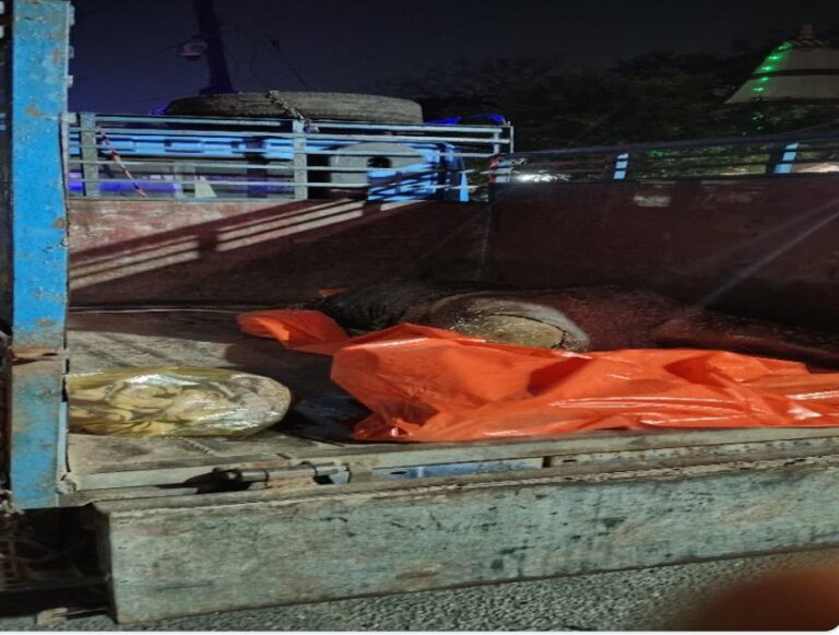 जंगल से उठी बदबू तो खुला राज, सड़ी-गली लाश मिलने से इलाके में सनसनी