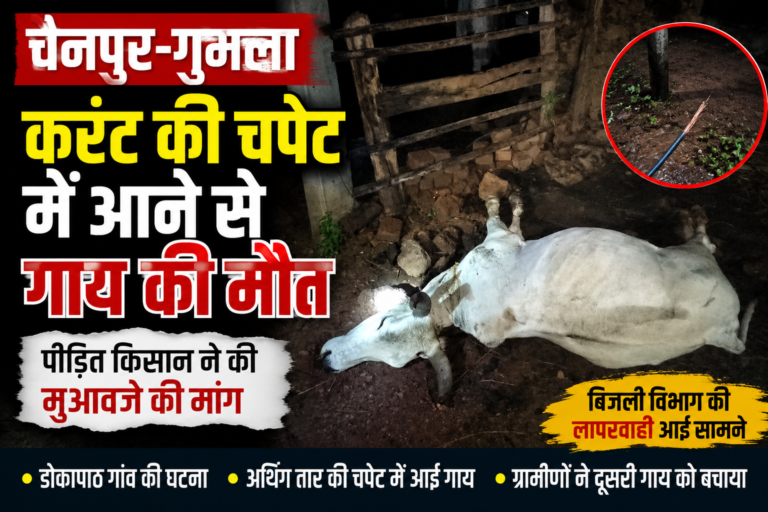 डोकापाठ में बिजली विभाग की लापरवाही आई सामने, करंट से गाय की मौत