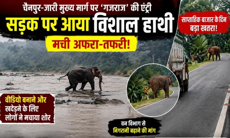 चैनपुर-जारी मुख्य मार्ग पर गजराज की एंट्री से थमी वाहनों की रफ्तार