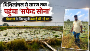 सारण में मखाना की खेती